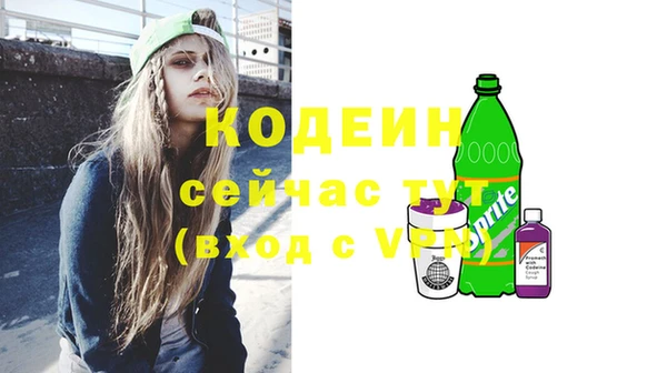 ГАЛЛЮЦИНОГЕННЫЕ ГРИБЫ Каменка