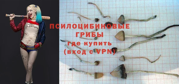 каннабис Карпинск