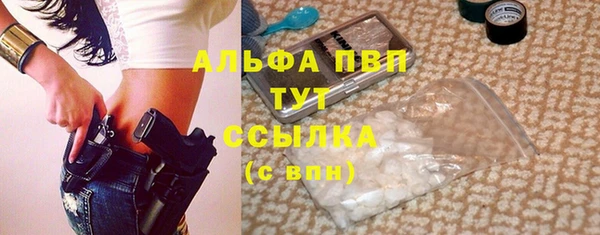 ГАЛЛЮЦИНОГЕННЫЕ ГРИБЫ Каменка