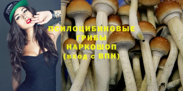каннабис Карпинск