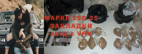 ГАЛЛЮЦИНОГЕННЫЕ ГРИБЫ Каменка
