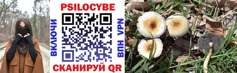 Купить где  Саяногорск  Галлюциногенные грибы Cubensis 