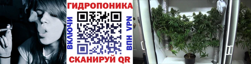 Канабис конопля  Купить где  Саяногорск 